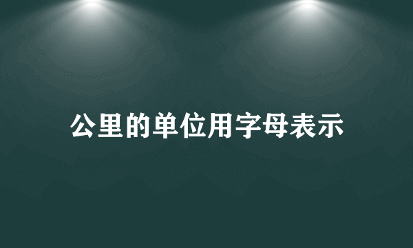 公里的单位用字母表示