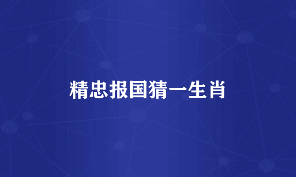 精忠报国猜一生肖