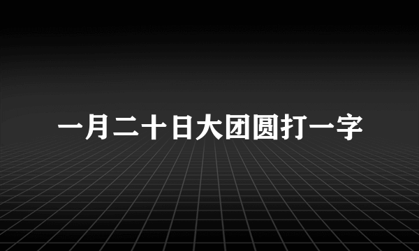 一月二十日大团圆打一字
