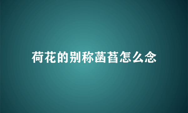 荷花的别称菡萏怎么念