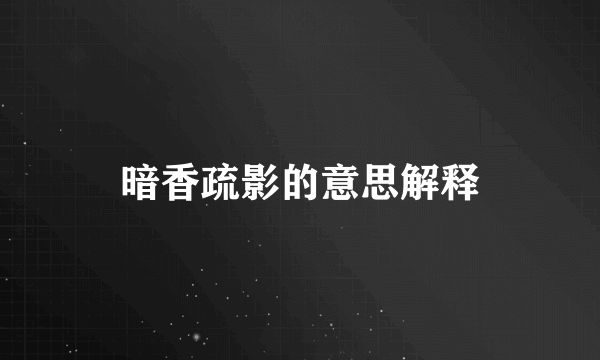 暗香疏影的意思解释