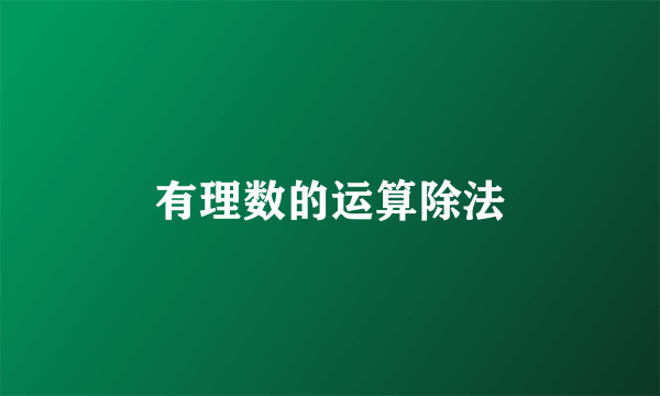 有理数的运算除法