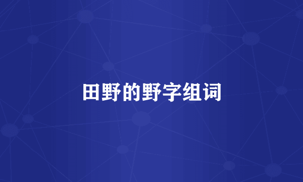 田野的野字组词