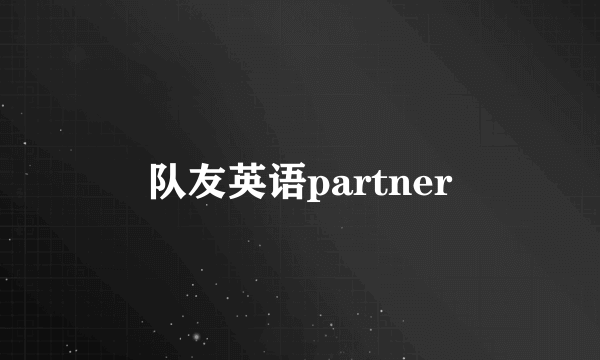 队友英语partner