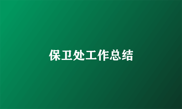 保卫处工作总结