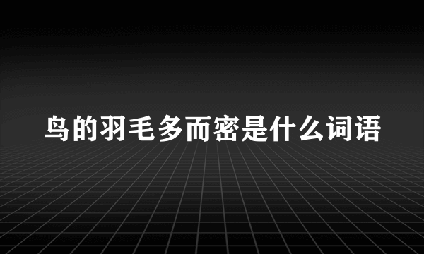 鸟的羽毛多而密是什么词语