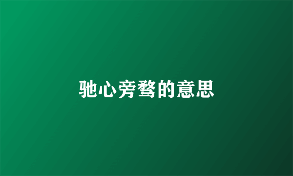 驰心旁骛的意思
