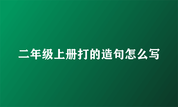 二年级上册打的造句怎么写