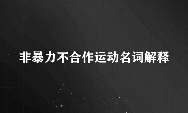非暴力不合作运动名词解释