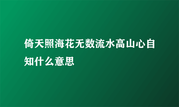 倚天照海花无数流水高山心自知什么意思