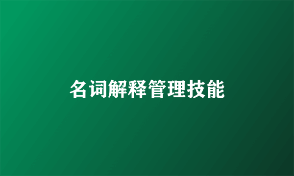 名词解释管理技能