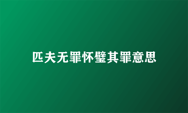 匹夫无罪怀璧其罪意思