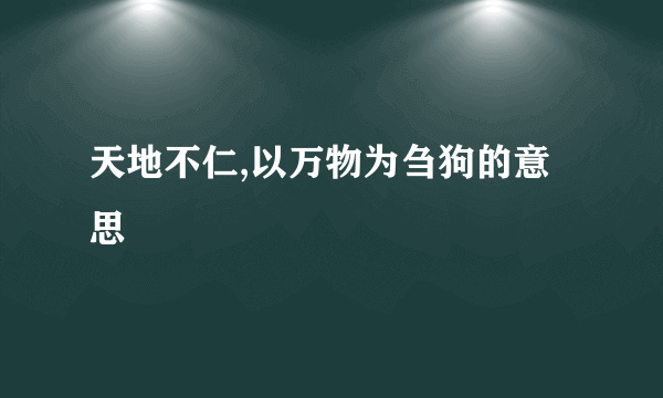 天地不仁,以万物为刍狗的意思