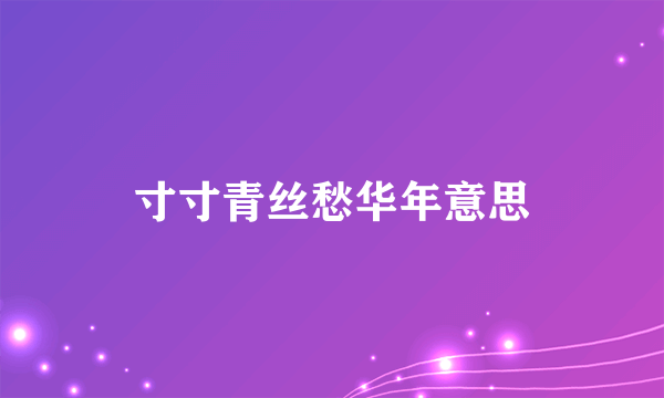 寸寸青丝愁华年意思