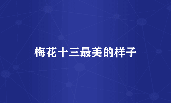 梅花十三最美的样子