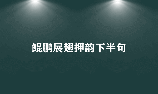 鲲鹏展翅押韵下半句