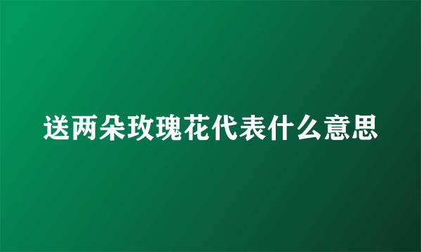 送两朵玫瑰花代表什么意思