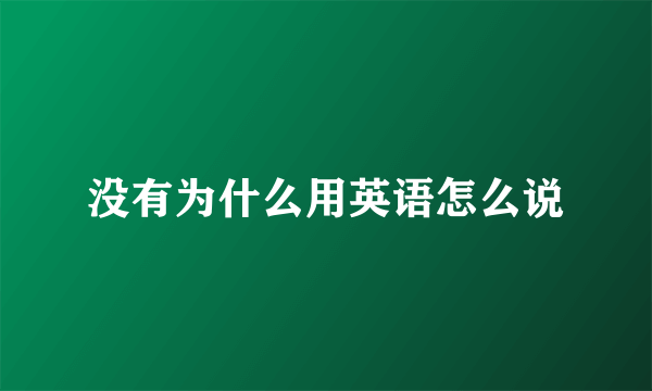 没有为什么用英语怎么说