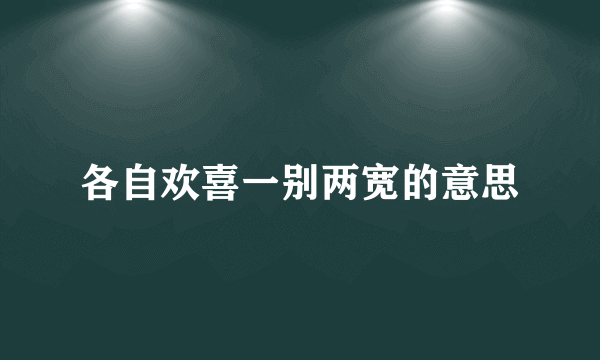 各自欢喜一别两宽的意思
