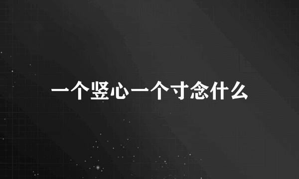 一个竖心一个寸念什么