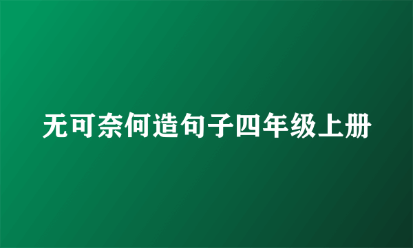 无可奈何造句子四年级上册