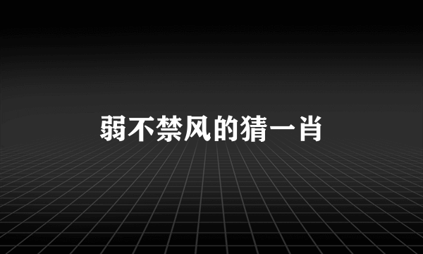 弱不禁风的猜一肖