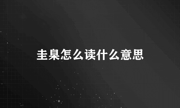 圭臬怎么读什么意思