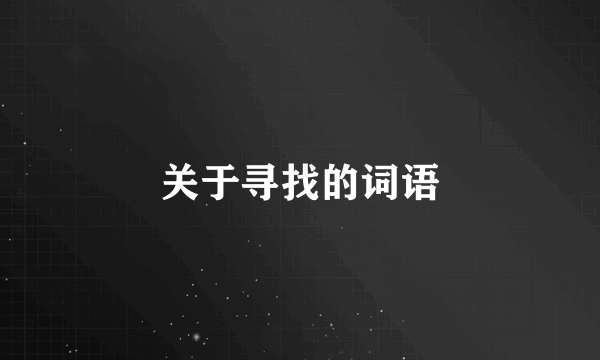 关于寻找的词语