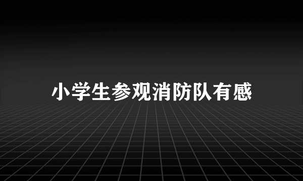 小学生参观消防队有感