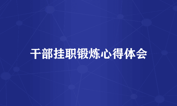 干部挂职锻炼心得体会