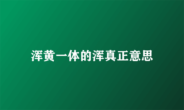 浑黄一体的浑真正意思