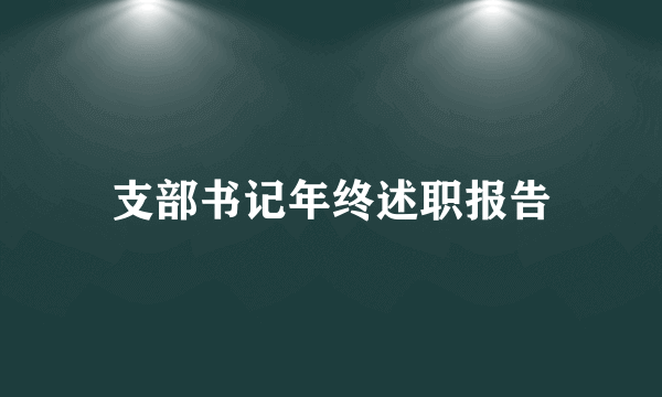 支部书记年终述职报告