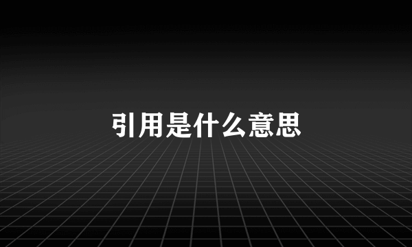 引用是什么意思