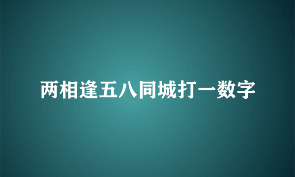 两相逢五八同城打一数字
