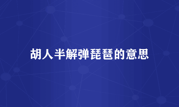 胡人半解弹琵琶的意思