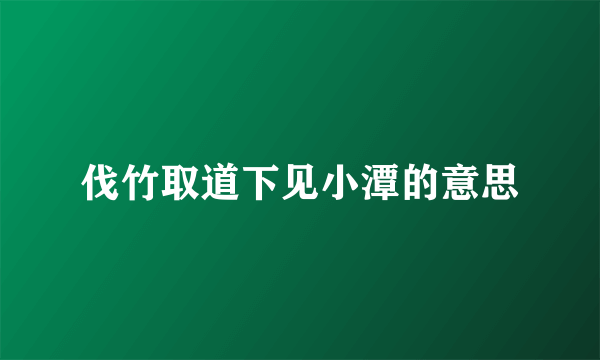 伐竹取道下见小潭的意思