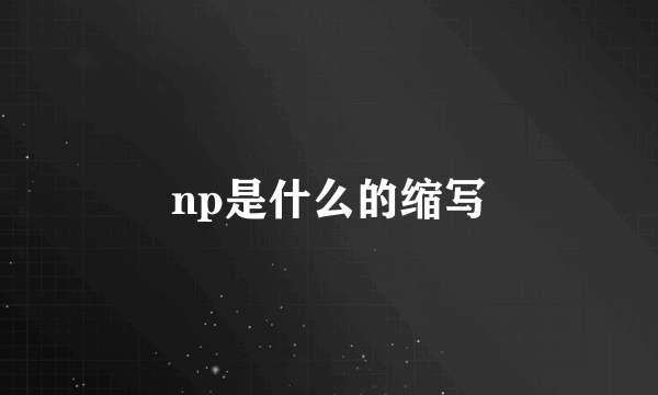 np是什么的缩写