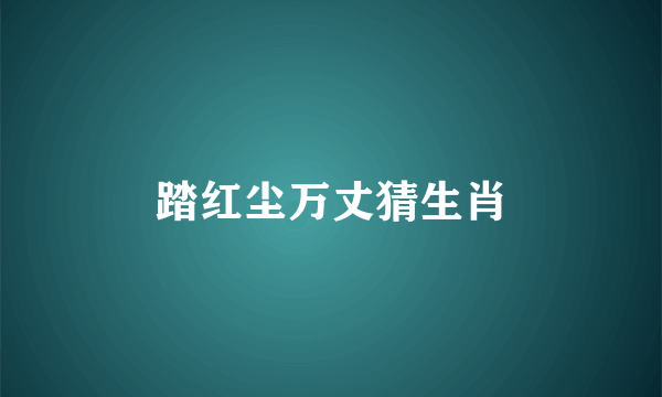 踏红尘万丈猜生肖