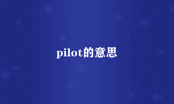 pilot的意思