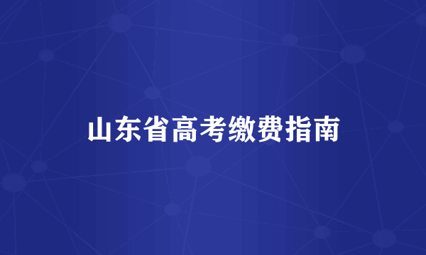 山东省高考缴费指南