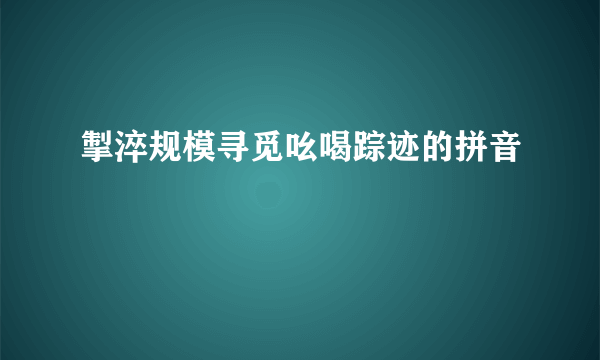 掣淬规模寻觅吆喝踪迹的拼音