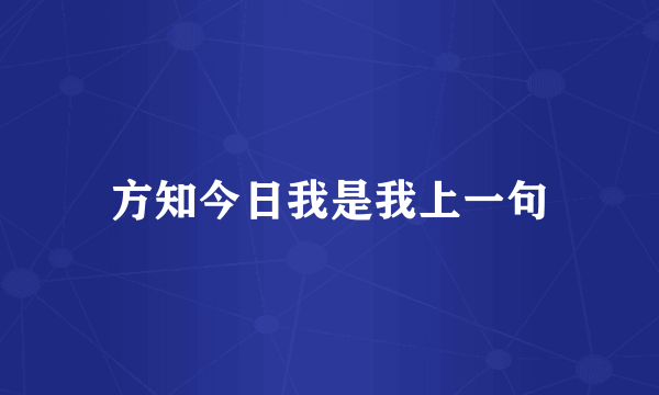 方知今日我是我上一句
