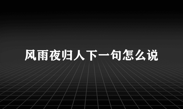 风雨夜归人下一句怎么说