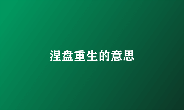 涅盘重生的意思