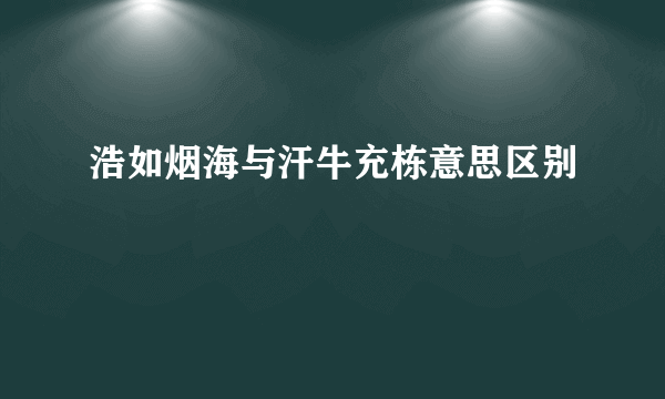 浩如烟海与汗牛充栋意思区别