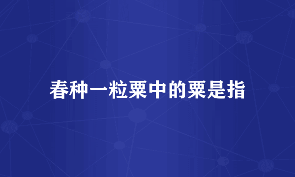 春种一粒粟中的粟是指