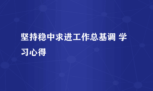 坚持稳中求进工作总基调 学习心得