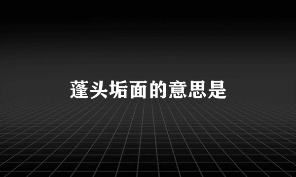 蓬头垢面的意思是