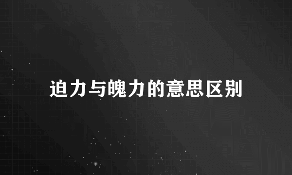 迫力与魄力的意思区别
