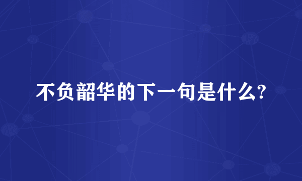 不负韶华的下一句是什么?